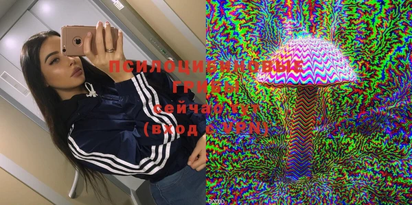 крисы Балахна