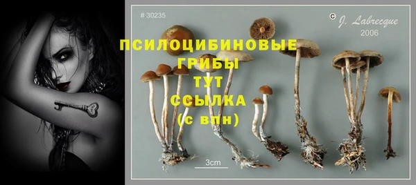 крисы Балахна