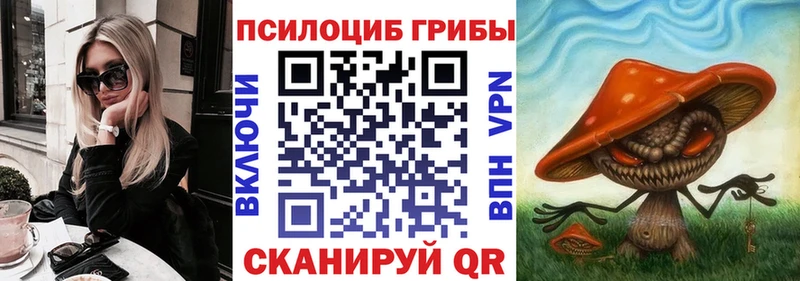 Псилоцибиновые грибы прущие грибы  Баксан 