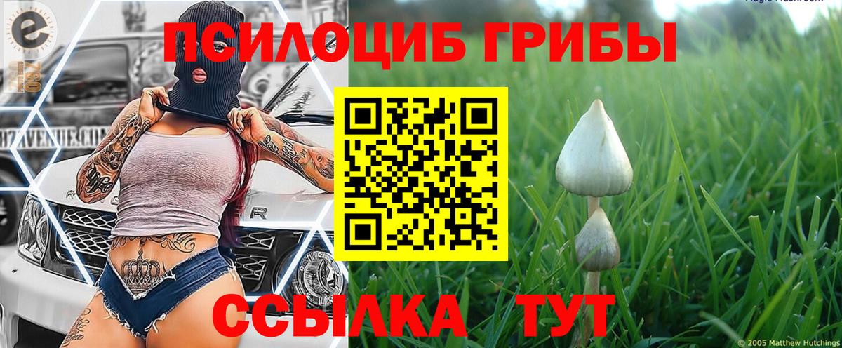 Галлюциногенные грибы мицелий Баксан