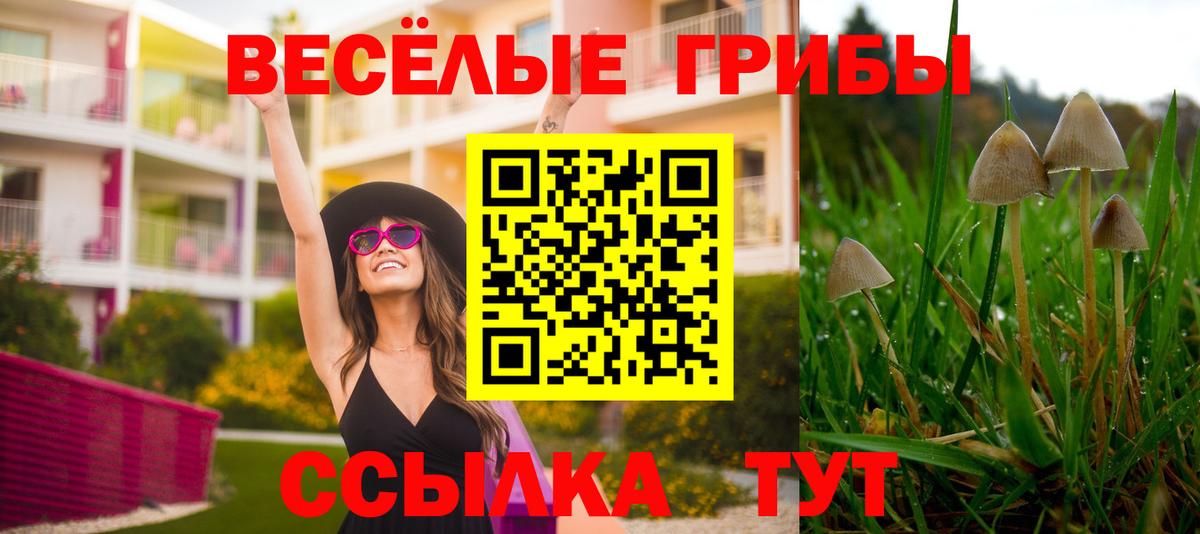 Псилоцибиновые грибы Cubensis  Галлюциногенные грибы Magic Shrooms  Баксан  Вход с VPN 