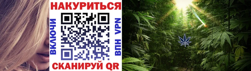 где продают Баксан даркнет телеграм Бошки Шишки THC 21%